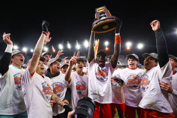 顽强的毅力 顽强的毅力